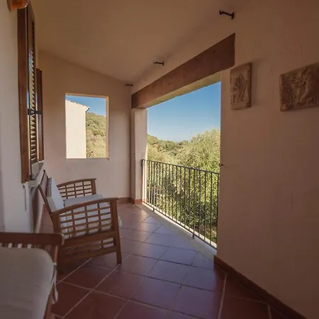 Apartament Uliveto Con Vista *